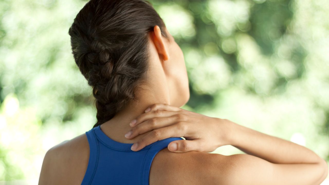 esternocleidomastoideo esternocleidomastoideo