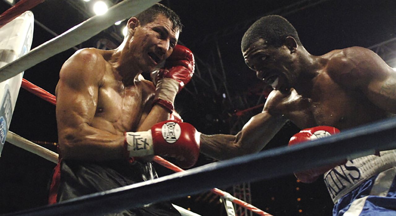¿Cuáles son las principales categorias boxeo ?