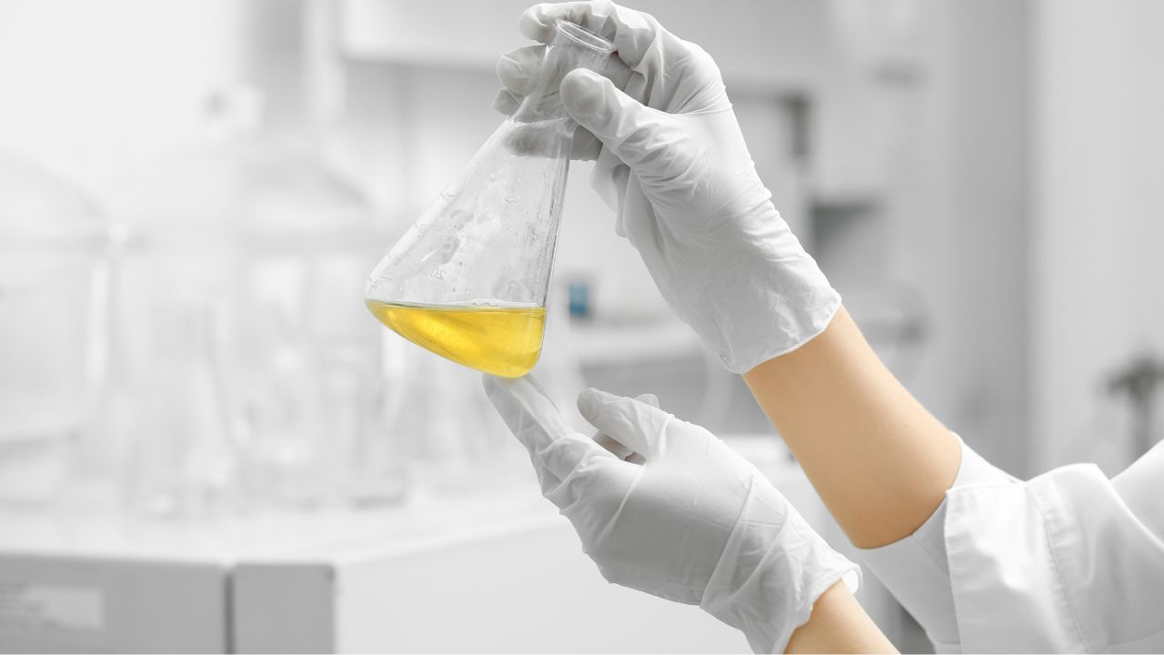 la quimica en la vida cotidiana