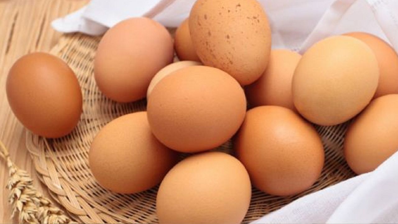 cuanta proteina tiene un huevo cuanta proteina tiene un huevo