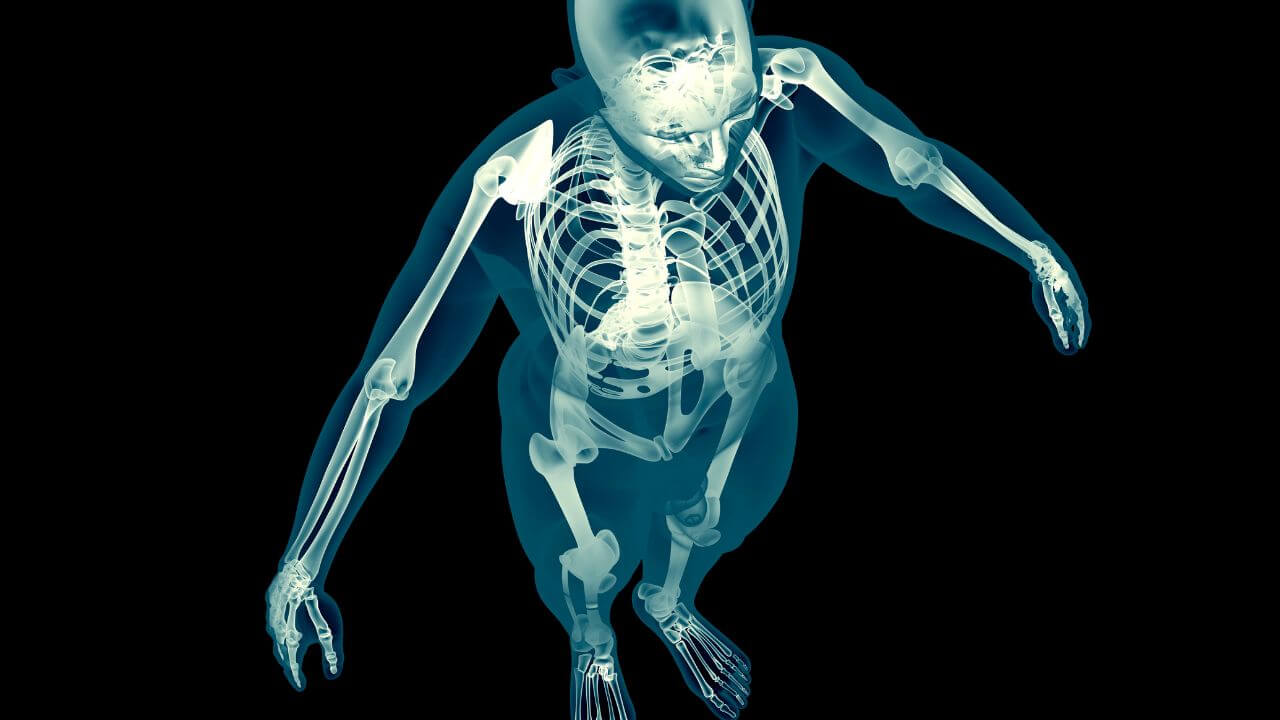 cuerpo humano