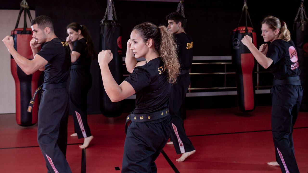 escuelas de artes marciales escuelas de artes marciales